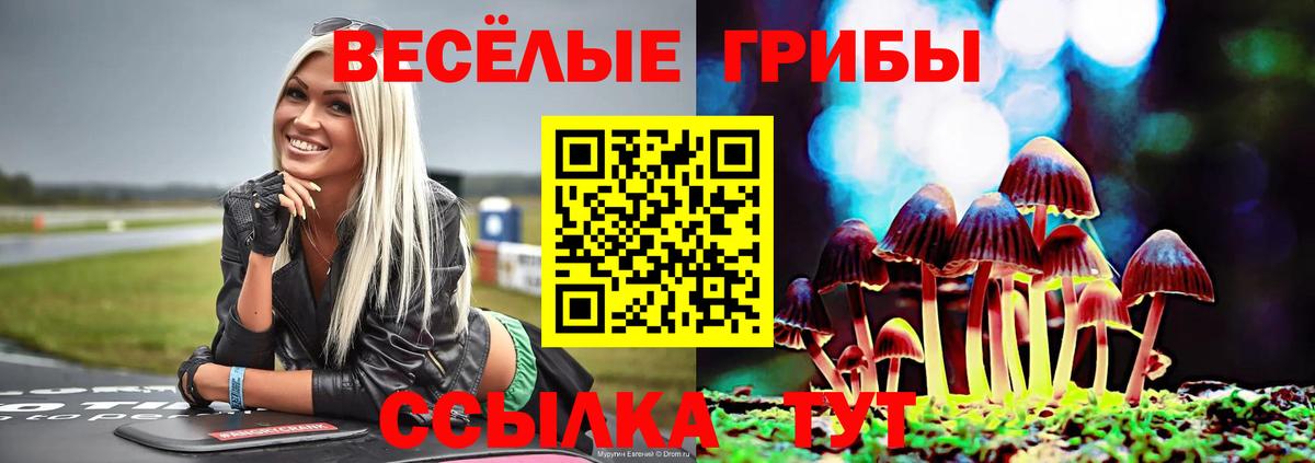 Псилоцибиновые грибы мухоморы  Галлюциногенные грибы мухоморы  Вход с VPN  как найти закладки  Советская Гавань 